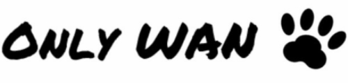 ONLY WAN